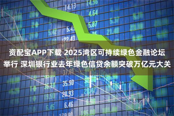 资配宝APP下载 2025湾区可持续绿色金融论坛举行 深圳银行业去年绿色信贷余额突破万亿元大关