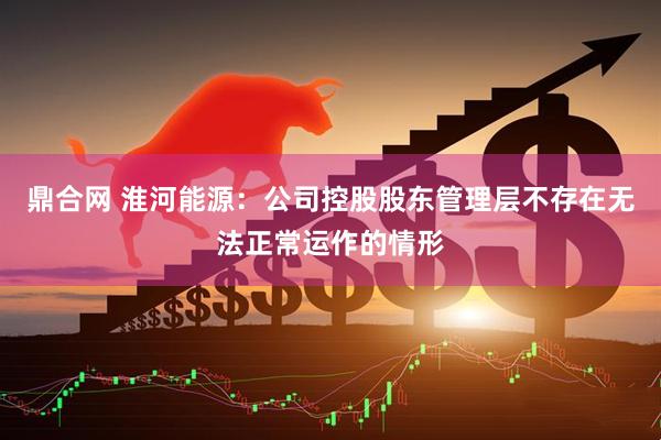 鼎合网 淮河能源：公司控股股东管理层不存在无法正常运作的情形