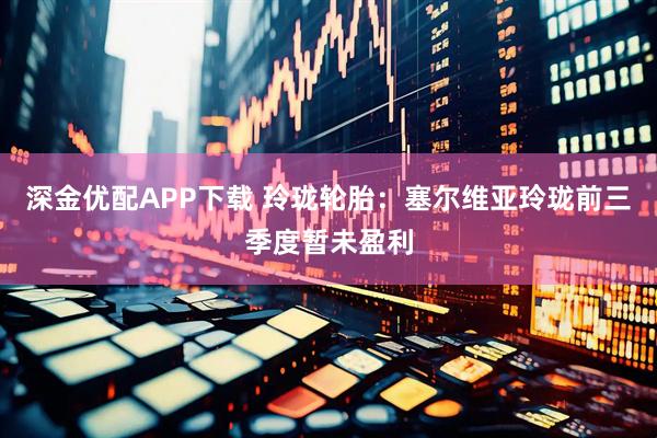 深金优配APP下载 玲珑轮胎:塞尔维亚玲珑前三季度暂未盈利