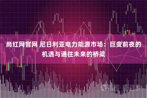 尚红网官网 尼日利亚电力能源市场：巨变前夜的机遇与通往未来的桥梁