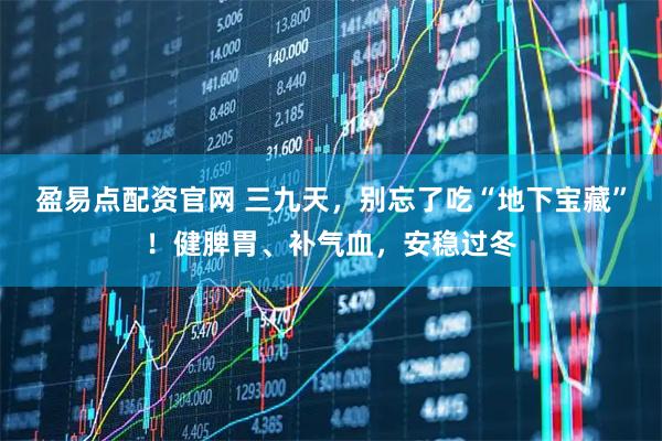 盈易点配资官网 三九天，别忘了吃“地下宝藏”！健脾胃、补气血，安稳过冬
