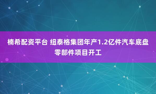 楠希配资平台 纽泰格集团年产1.2亿件汽车底盘零部件项目开工